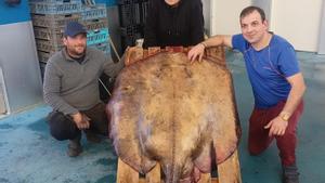 Rodrigo Villar (de azul), el pescadero que compró la impresionante pieza, posa junto a dos marineros en la lonja de Redondela.