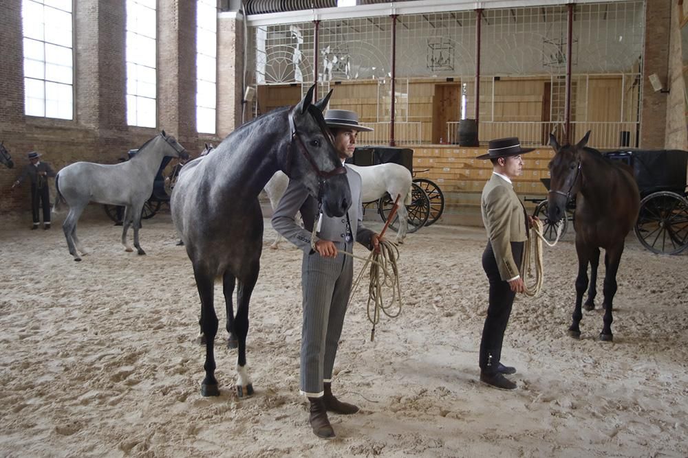 Fotogalería /  Primera jornada de Cabalcor.