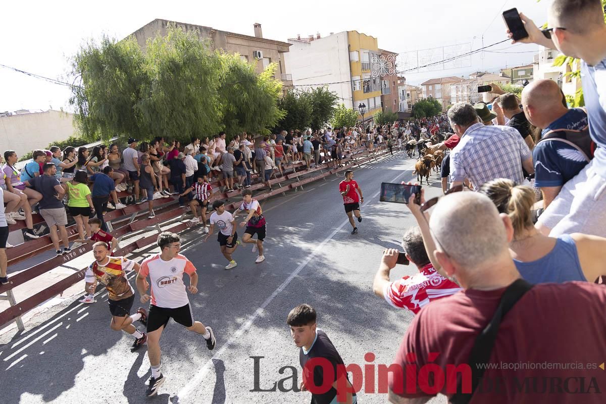 Primer encierro de las Fiestas de Moratalla