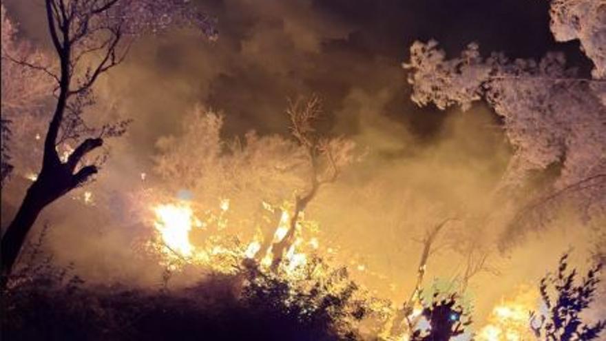 Waldbrand in Sóller: Zivilschutz bringt 30 Menschen aus ihren Häusern in Sicherheit