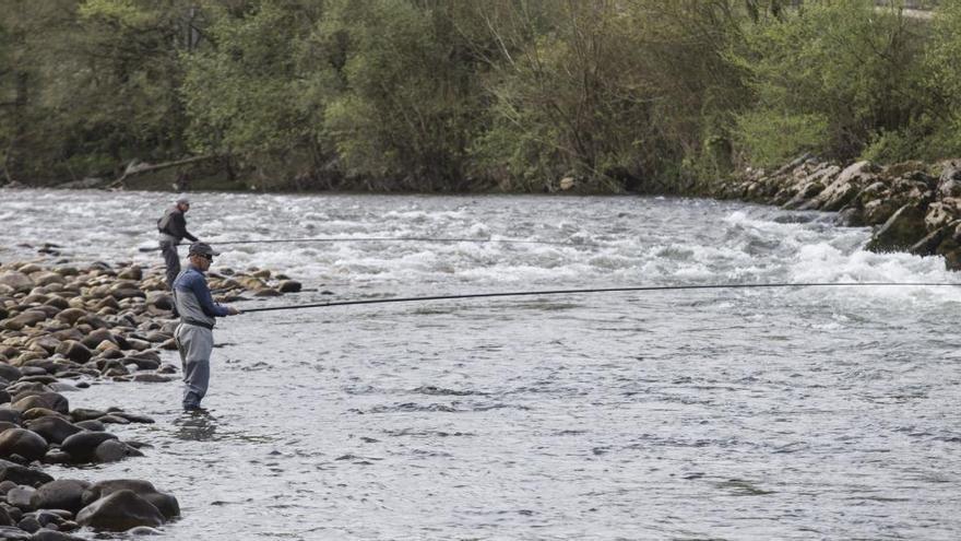 Pescadores en el río Narcea