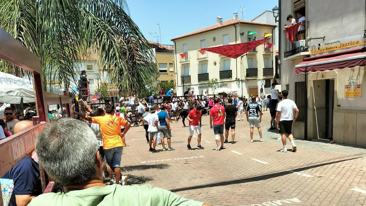 Varias personas, durante uno de los actos taurinos en las fiestas del pasado mes de junio.