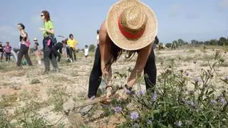 Unas 3.000 personas se movilizan para replantar los terrenos donde se proyecta la empresa Lotte en Mont-roig del Camp