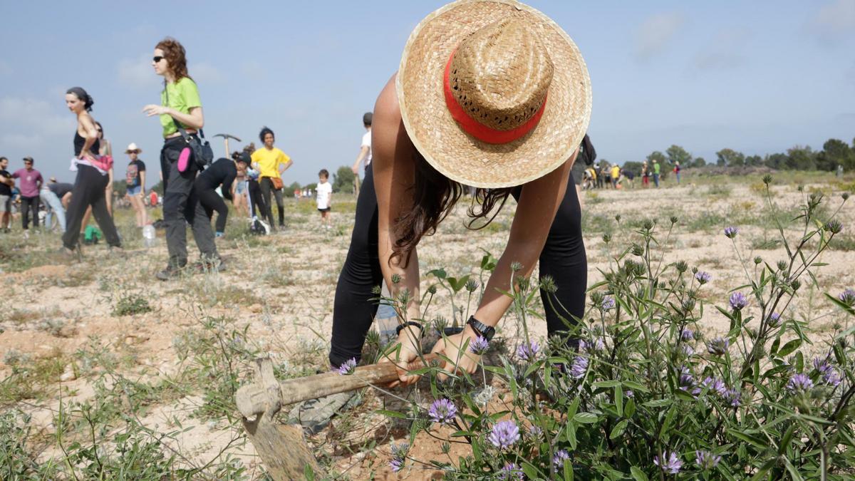 Una mujer caba en un agujero para poner plantas aromáticas en el lugar en el que se instalará la empresa