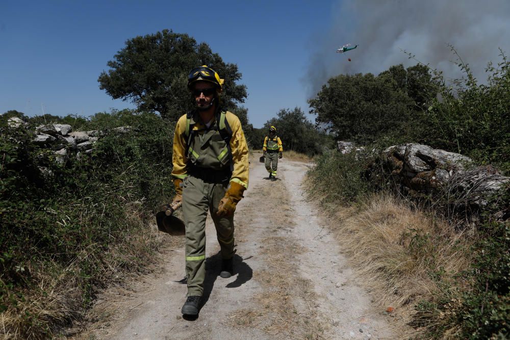 Incendio Pino del Oro y Castro de Alcañices