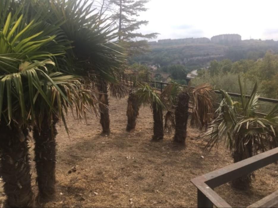 Mala conservació al camí dels Corrals de Manresa