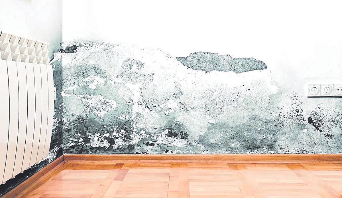 Pared con capilaridad.