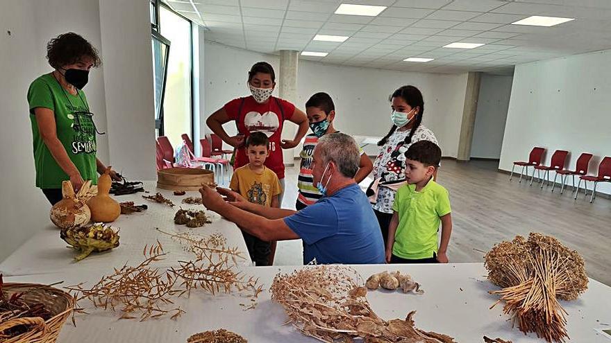 Los niños participaron en un taller sobre extracción de semillas. | SERVICIO ESPECIAL