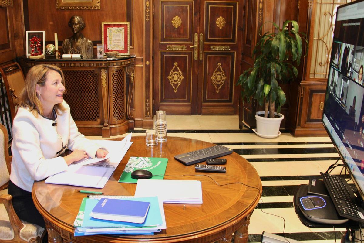 Carrasco en una reunión on line con la FEMP.