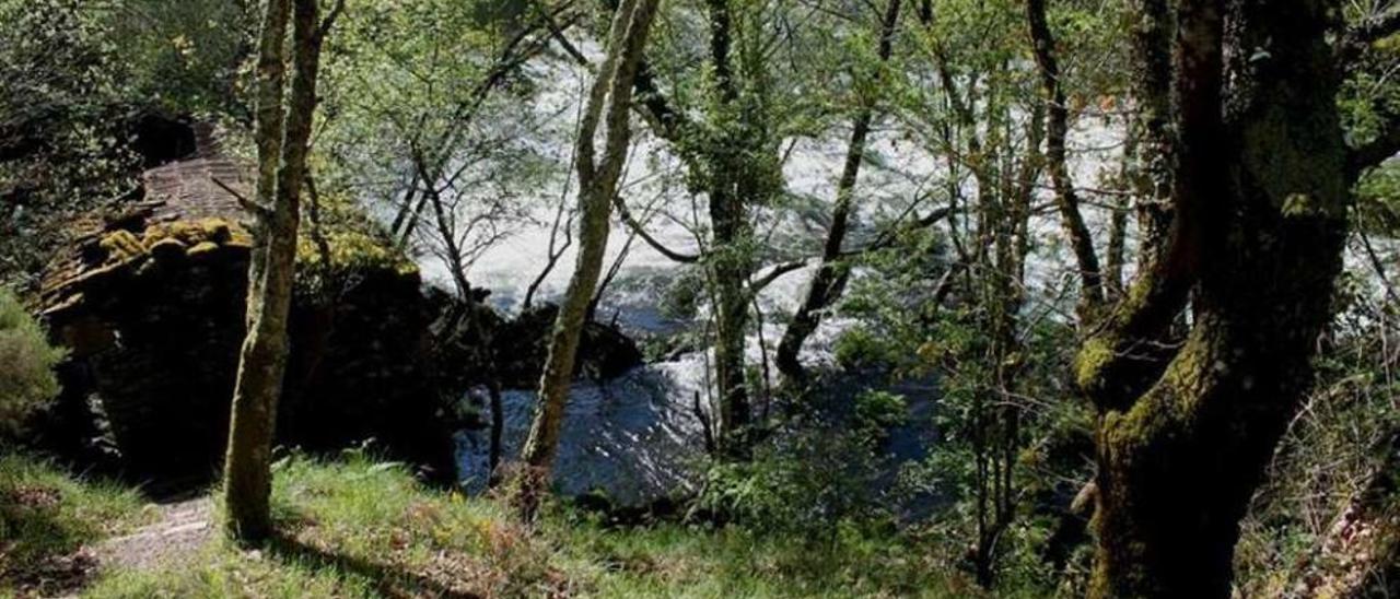 Molino en ruinas a orillas del Arnego, en un tramo de Ponte Carmoega.