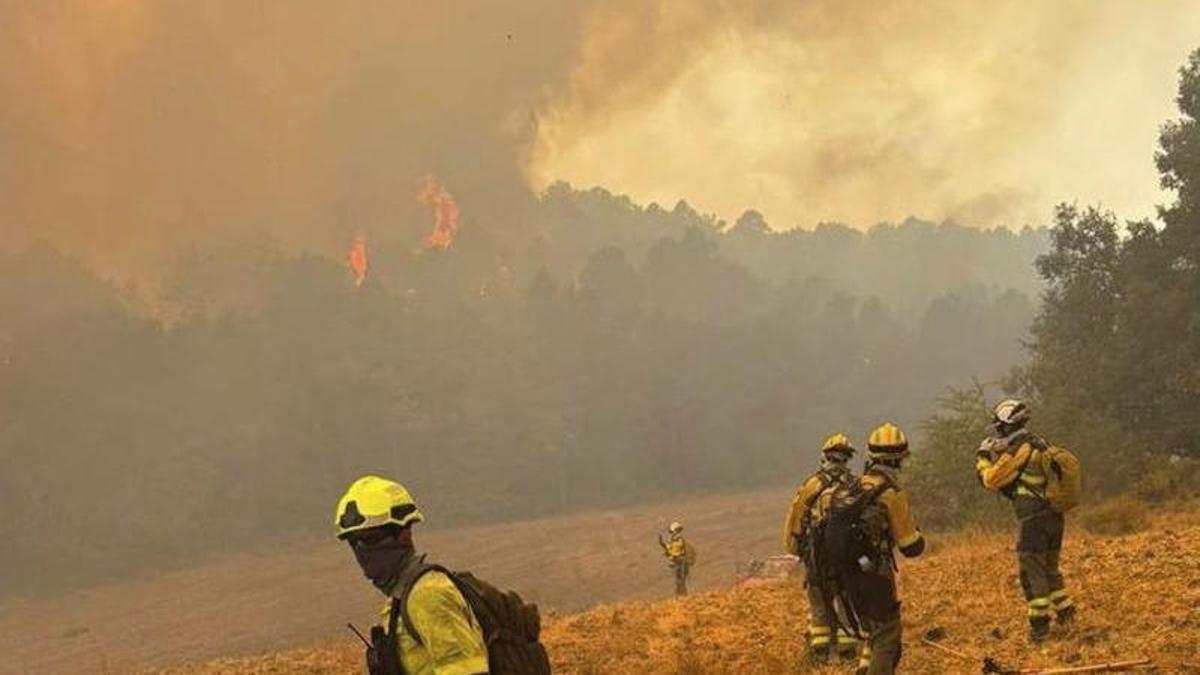 Un grup de bombers treballa en l’incendi d’Osca.  | INFOAR