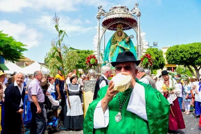 Procesion y Romeria por las Fiestas de las ...