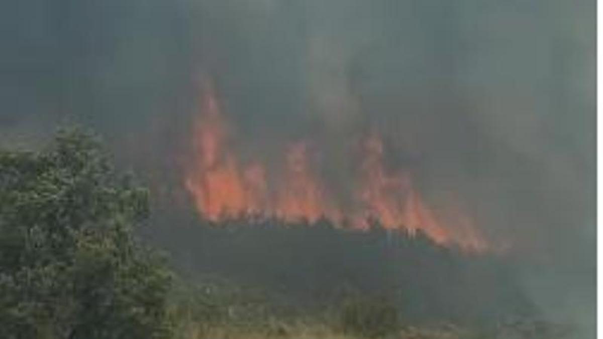 Avance del fuego en el municipio de Bailo afectado por el incendio de La Peña