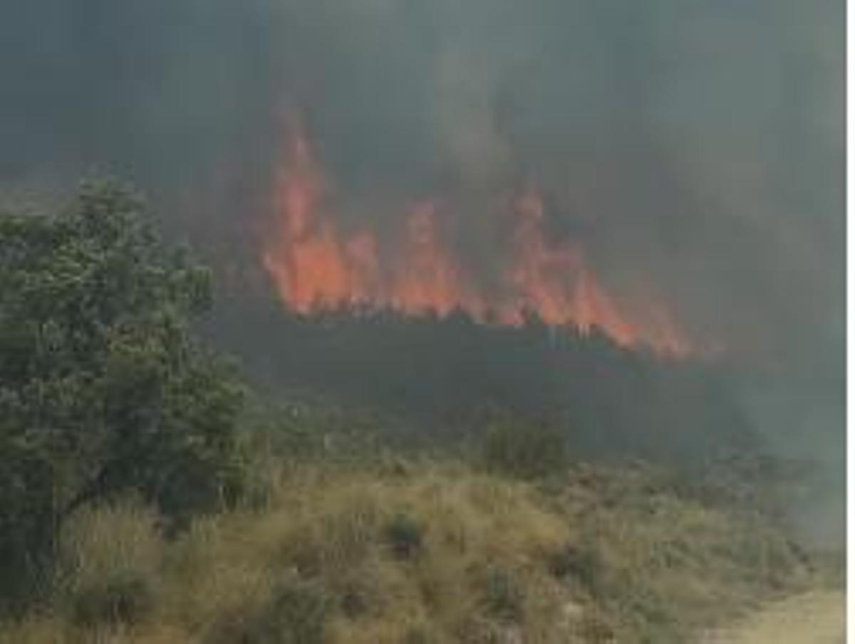 Avance del fuego en el municipio de Bailo afectado por el incendio de La Peña
