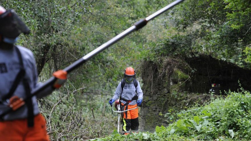 Más de un centenar de extranjeros se sumaron al mercado laboral en un año