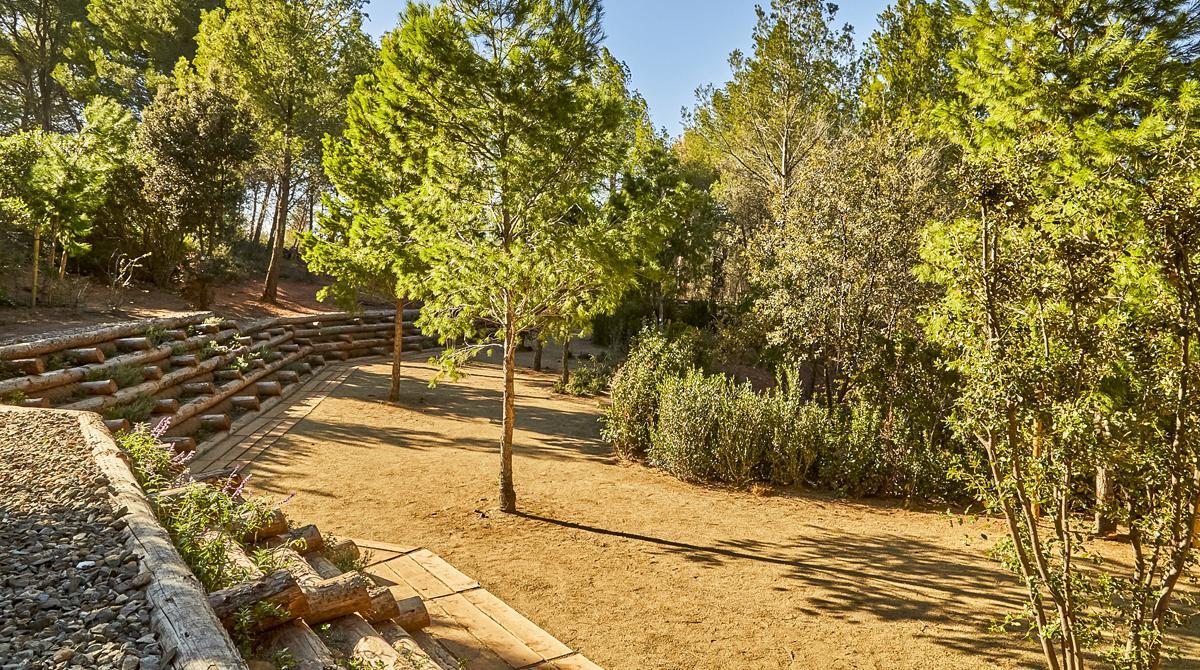 “Plantar arbres i preservar l’entorn natural és una prioritat per Àltima”