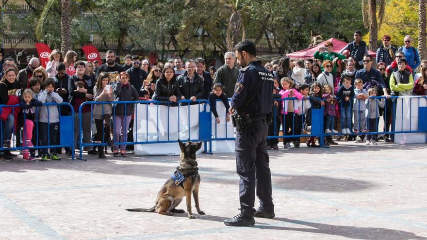 Un momento de la exhibición de la unidad canina de la Policía Local