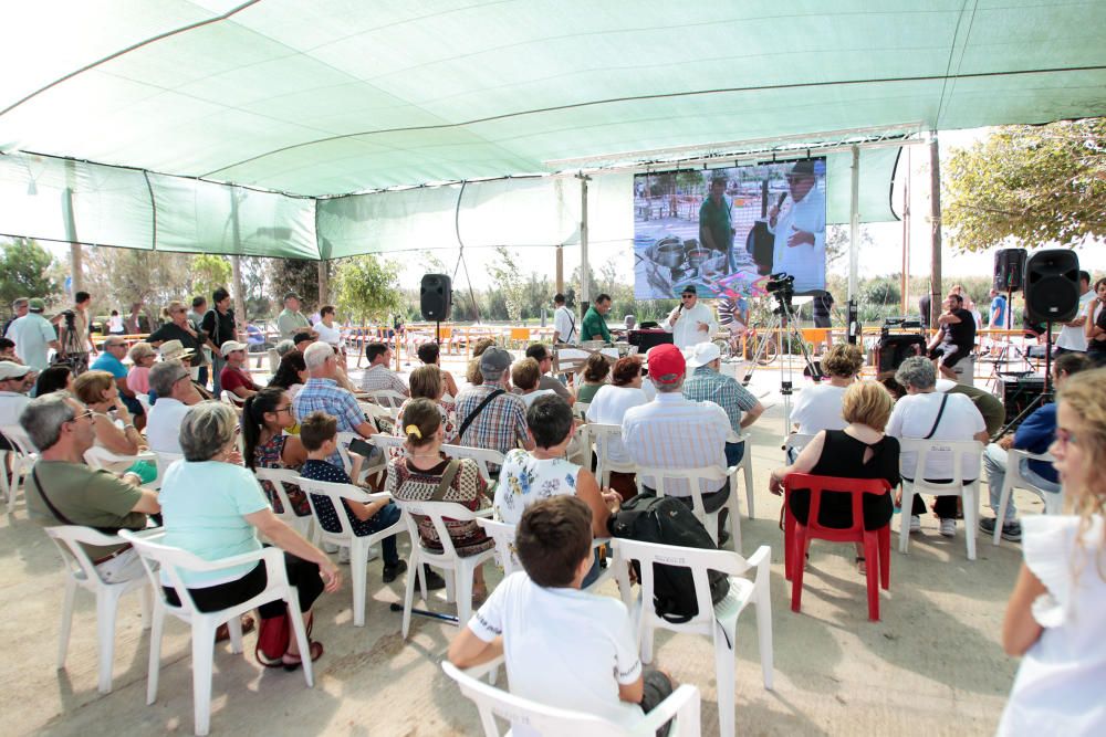 Fiesta de la Siega del Arroz