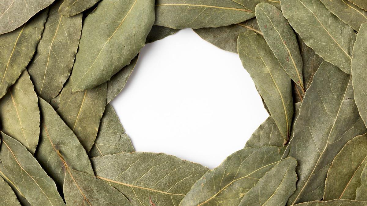 El motivo por el que la gente pone una hoja de laurel debajo de la almohada