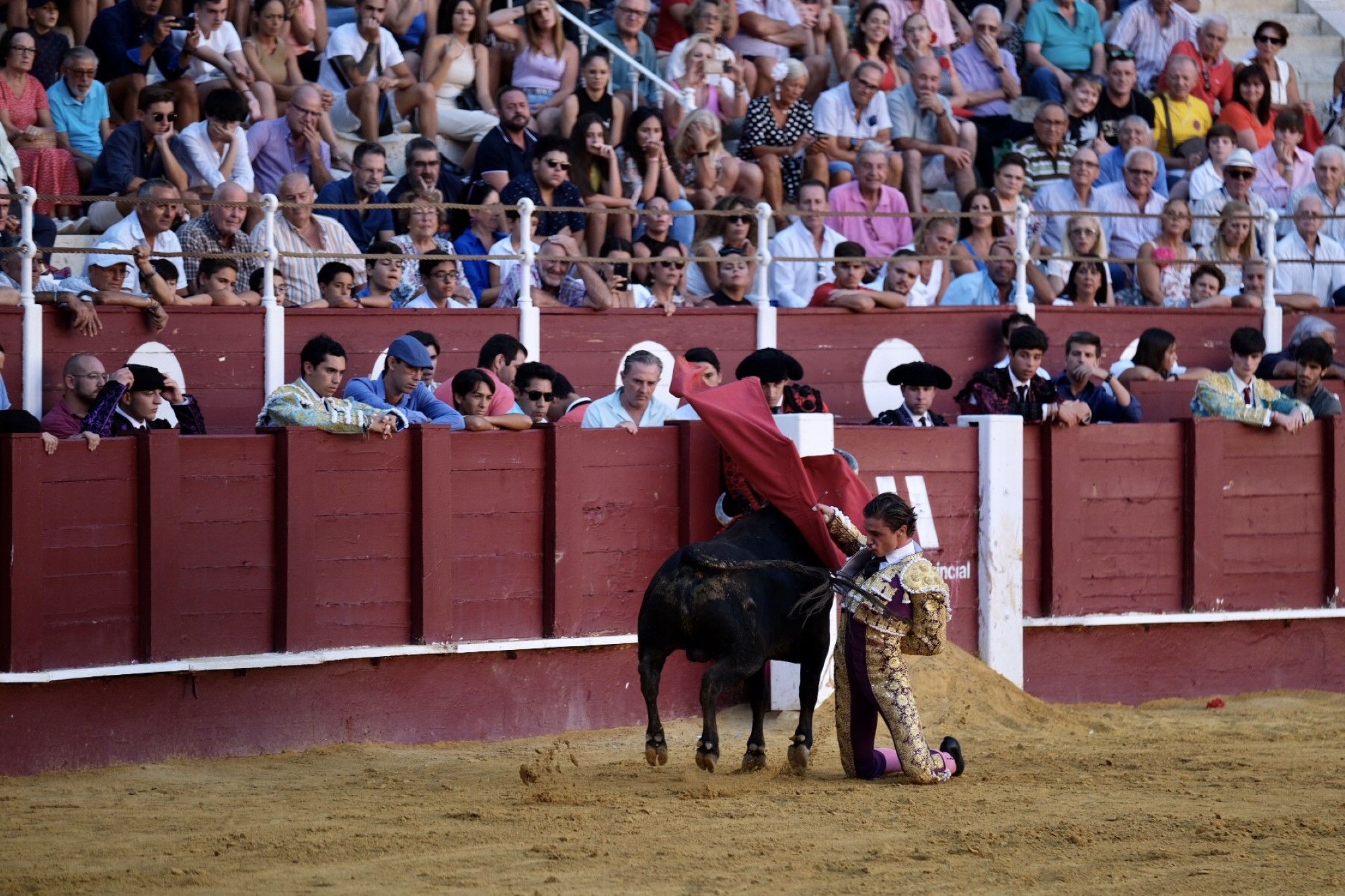 Las imágenes de la segunda semifinal del XV Certamen Internacional de Escuelas Taurinas