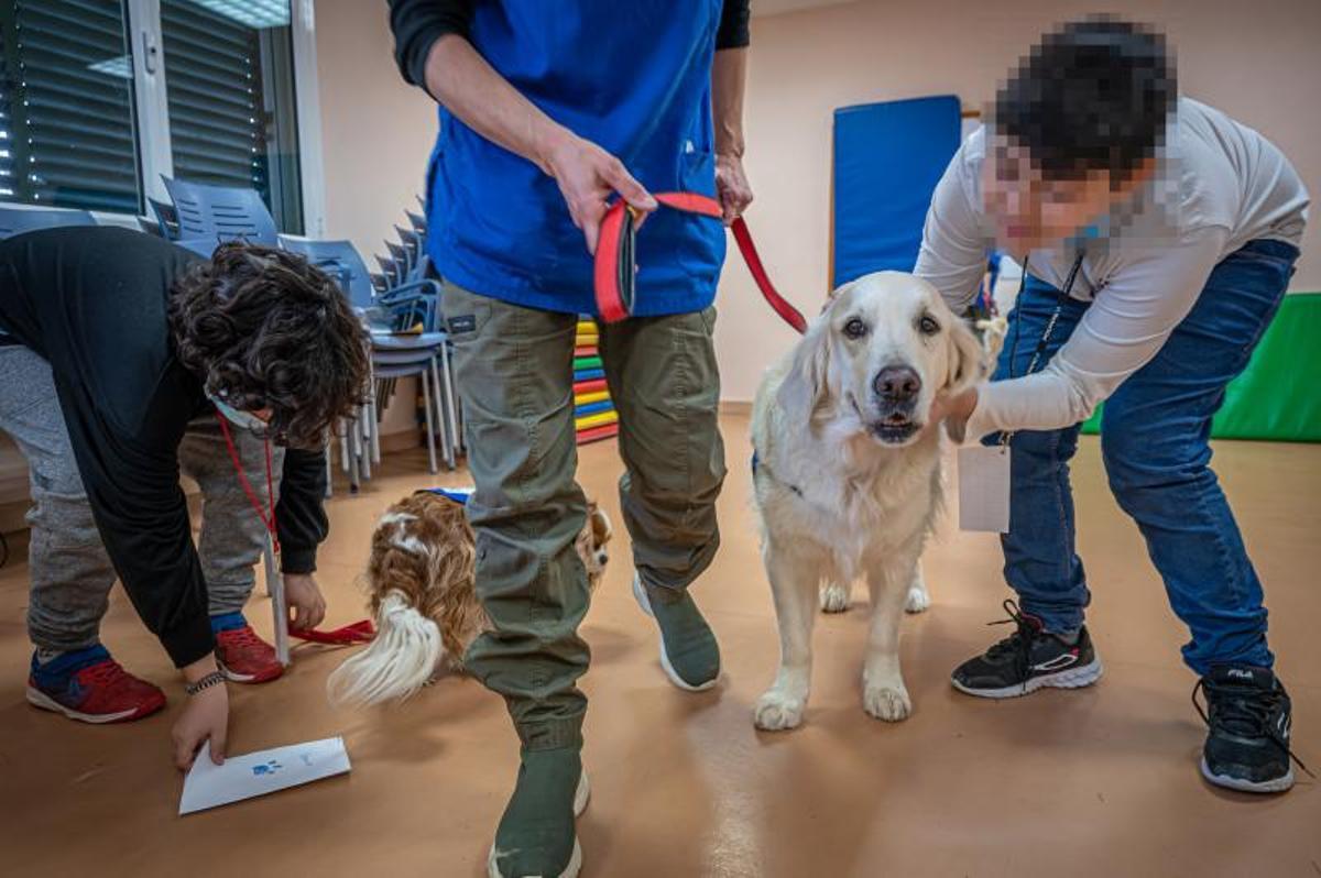 Terapia con perros, en el hospital de día de niños, en el Clínic