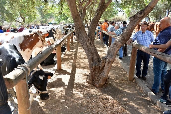 Feria de ganado, misa y procesión de San Miguel