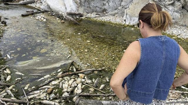 Una mujer observa los restos de peces muertos en la desembocadura del río Bedón, en Naves de Llanes.