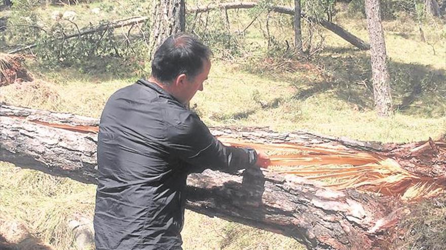 El Penyagolosa, un polvorín en alerta