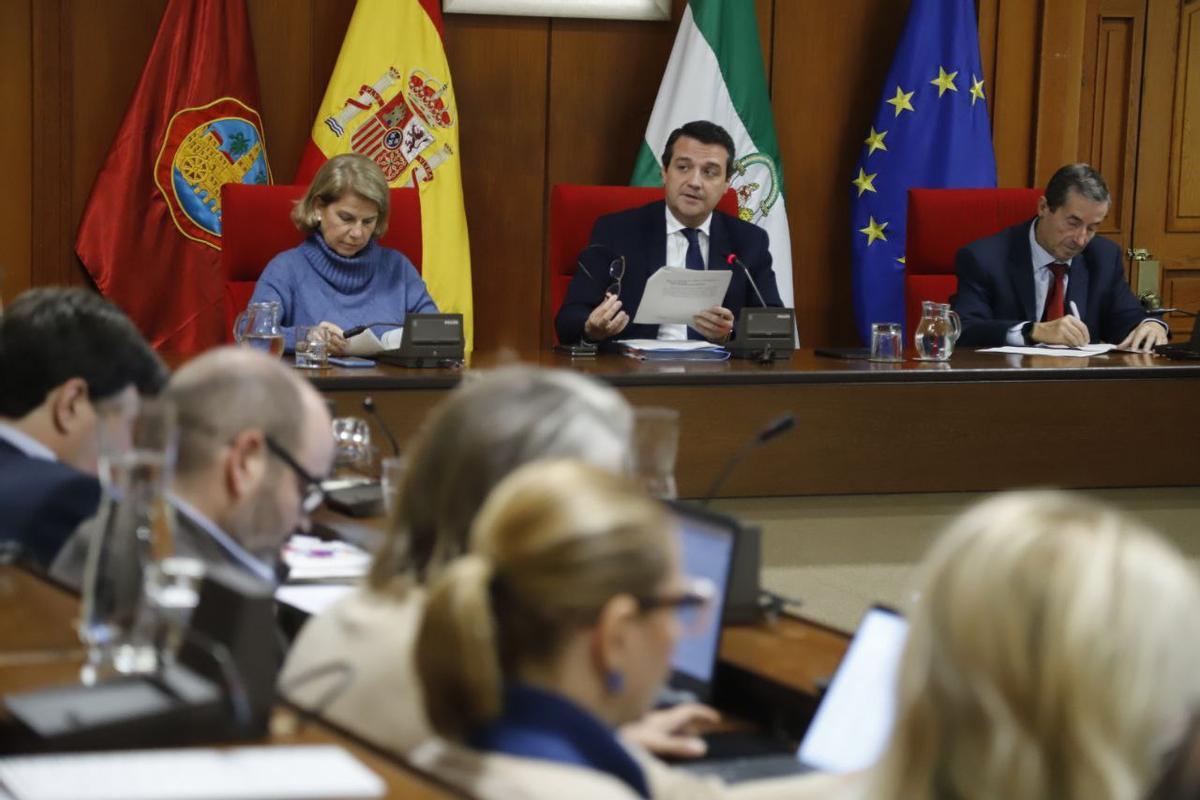 El alaclde de Córdoba, en el pleno de hoy.