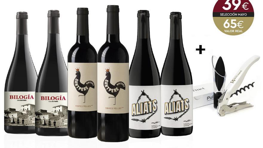 Selección Casa Gourmet de seis botellas de vinos de Terres dels Alforins.