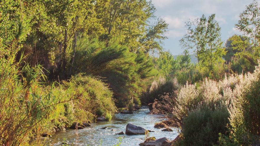 El Alto Palancia, un destino turístico basado en el patrimonio, la naturaleza, la gastronomía y las experiencias