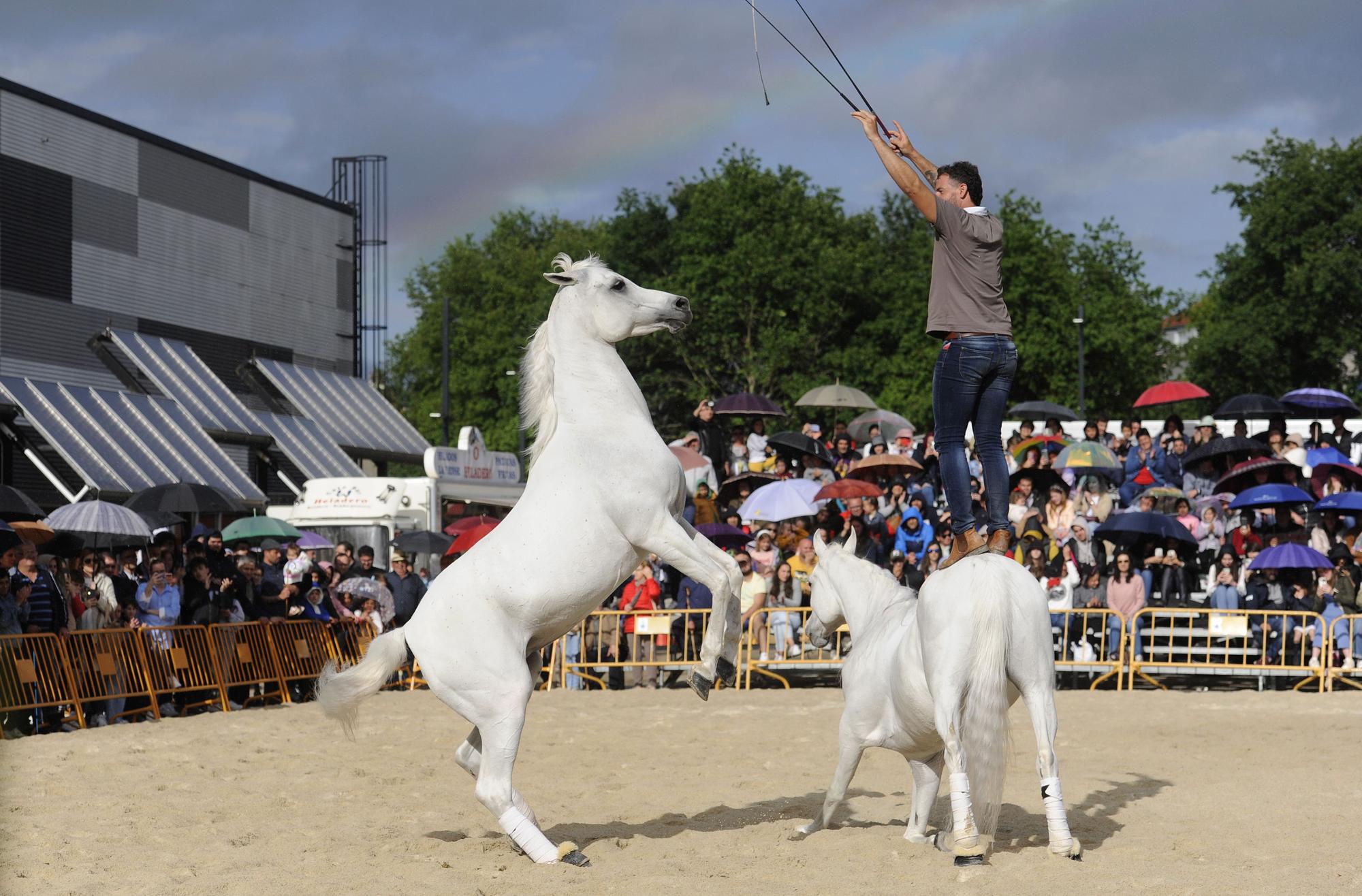 Danza sobre la arena: el espectáculo equino de Santi Serra hipnotiza Lalín