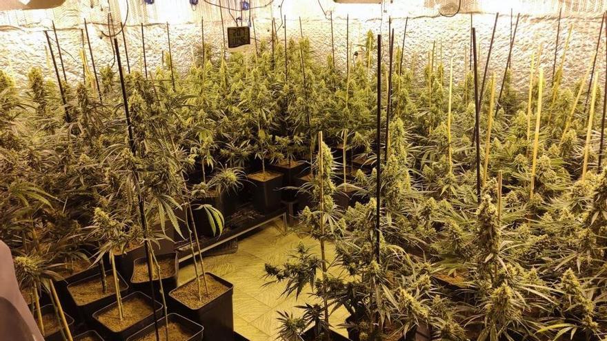 El frau elèctric per marihuana al Bages equival al consum de 1.700 famílies