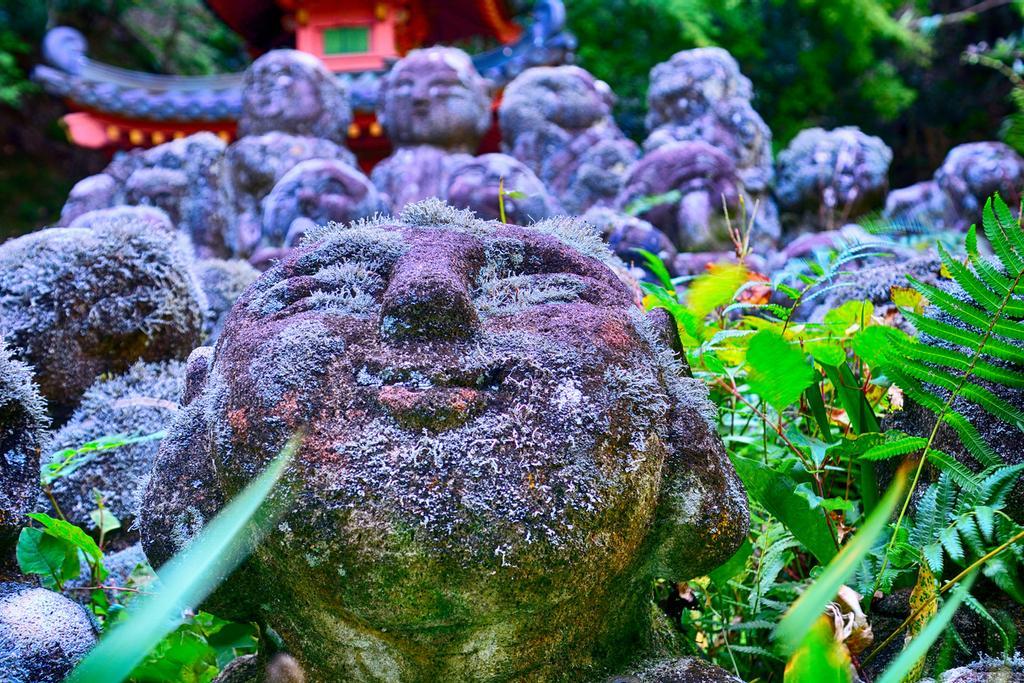 Cada rakan tiene una expresión única.