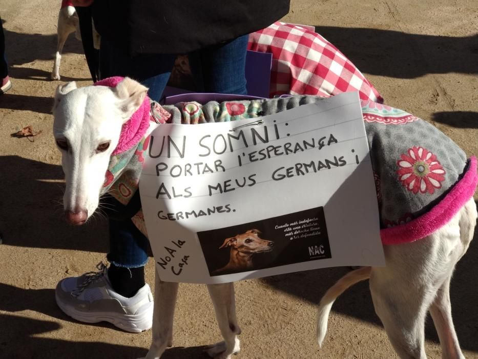 Manifestació contra la caça a Girona