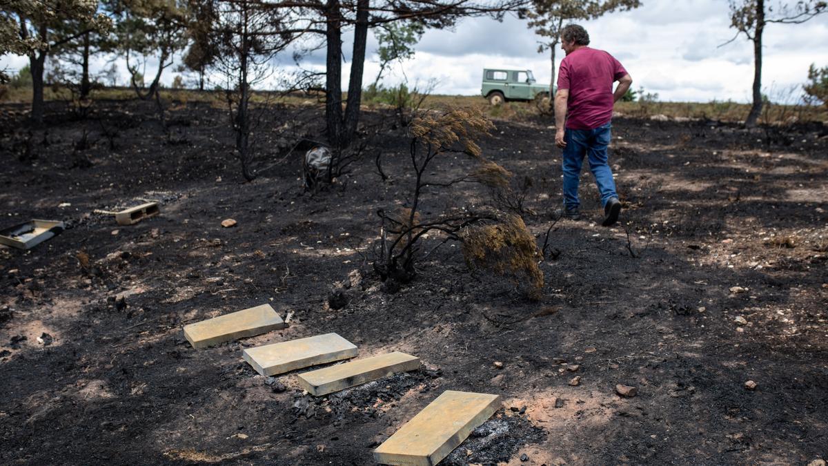 Santiago allego abandona un colmenar destrozado por el fuego.