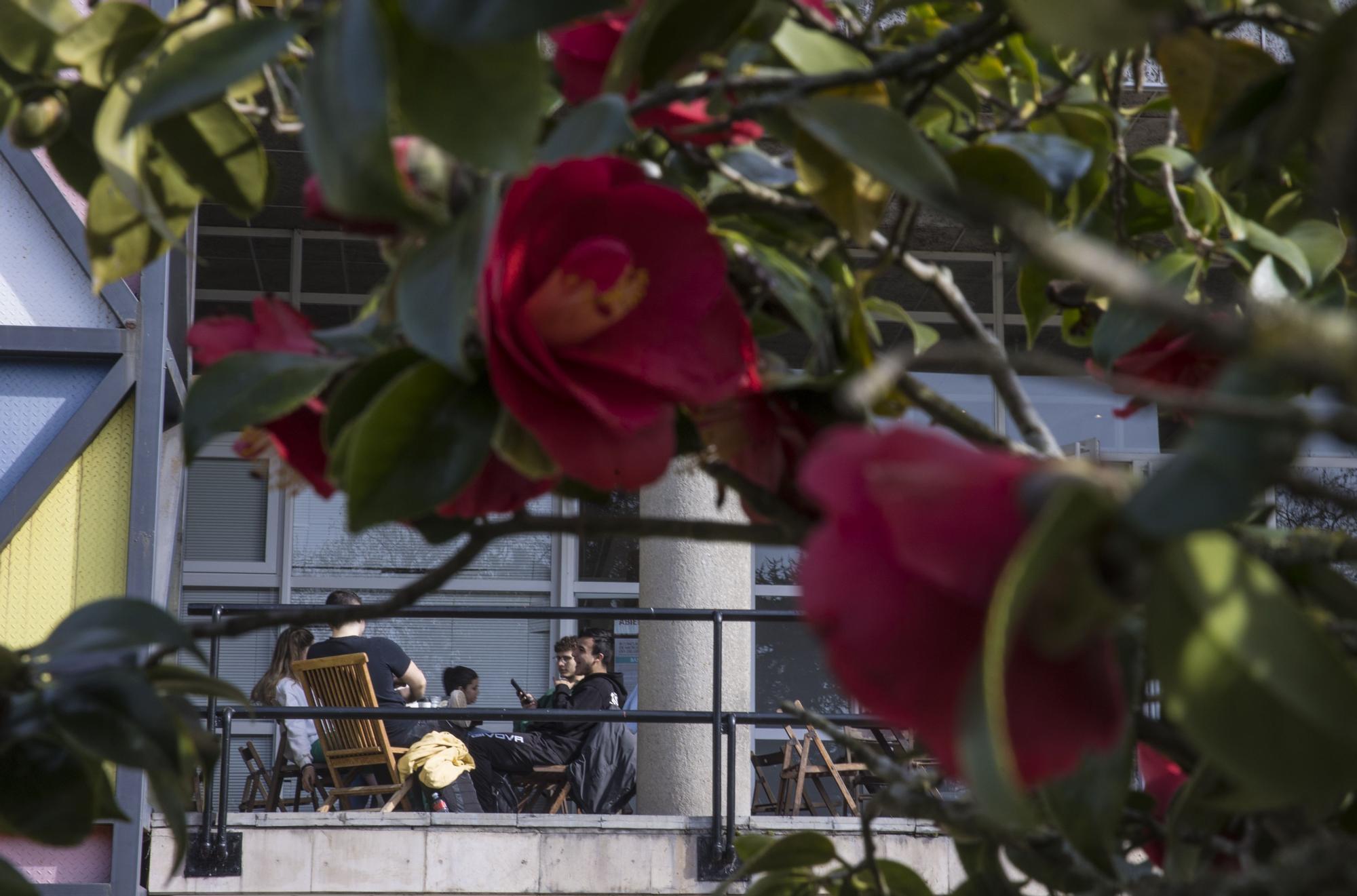 La primavera ya está llegando y así se deja notar en Avilés