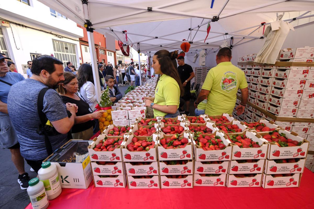 XI Feria de la Fresa, en Valsequillo