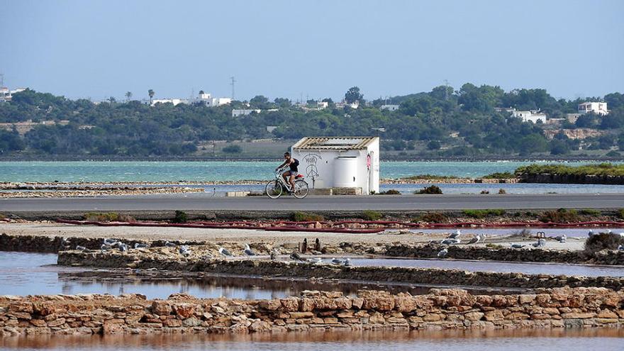 Extracción de sal líquida en los estanques de las salinas de Ibiza