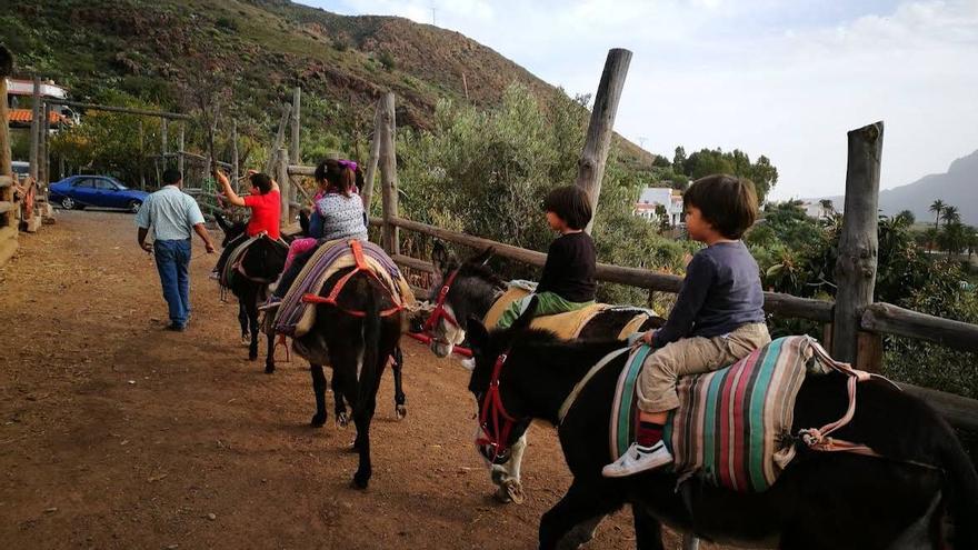Cuando comer con burros a tu alrededor se convierte en plan familiar perfecto en Canarias