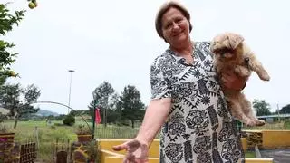 Carreño se queja de las "mismas manos negras que en Gijón" por la contaminación: los vecinos hasta ven con buenos ojos "ser expropiados" por el tráfico pesado