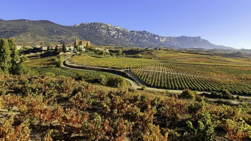 Lo mejor de Rioja Alavesa