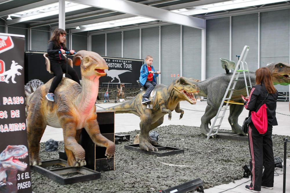 Dinoexpo en Ifeza