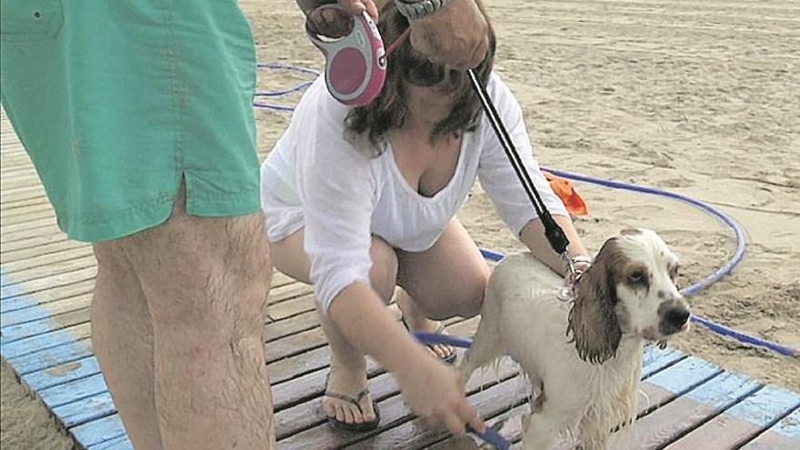 Almassora autoriza el acceso de perros a parte de la playa