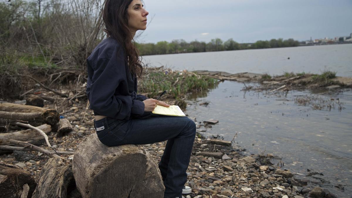 PJ Harvey, fotografiada en las cercanías de Washington DC en el 2014.