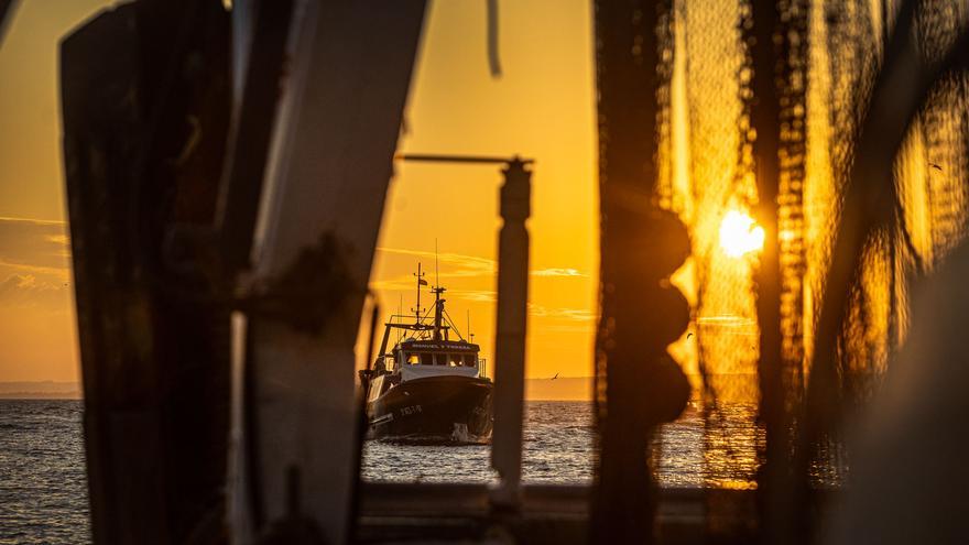 La pesca de arrastre, un oficio en peligro de extinción