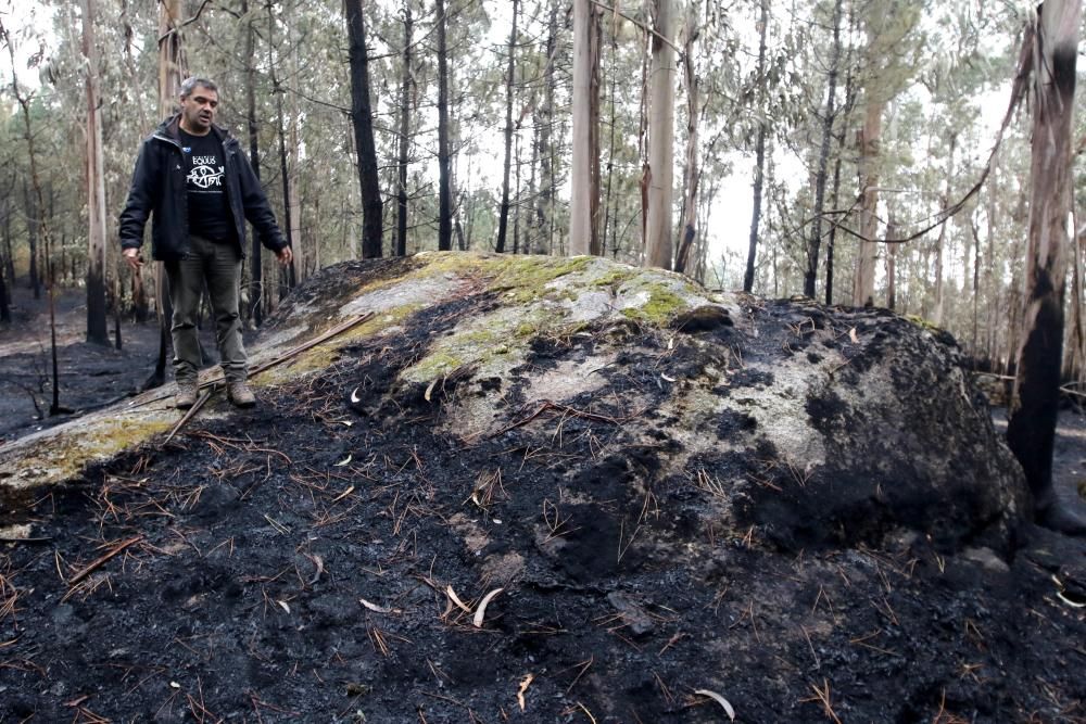 Incendios en Vigo | El Galiñeiro, tras el fuego