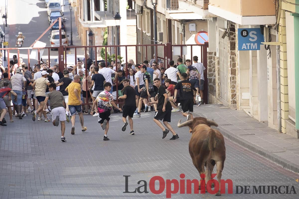 Tercer encierro de las Fiestas de Moratalla