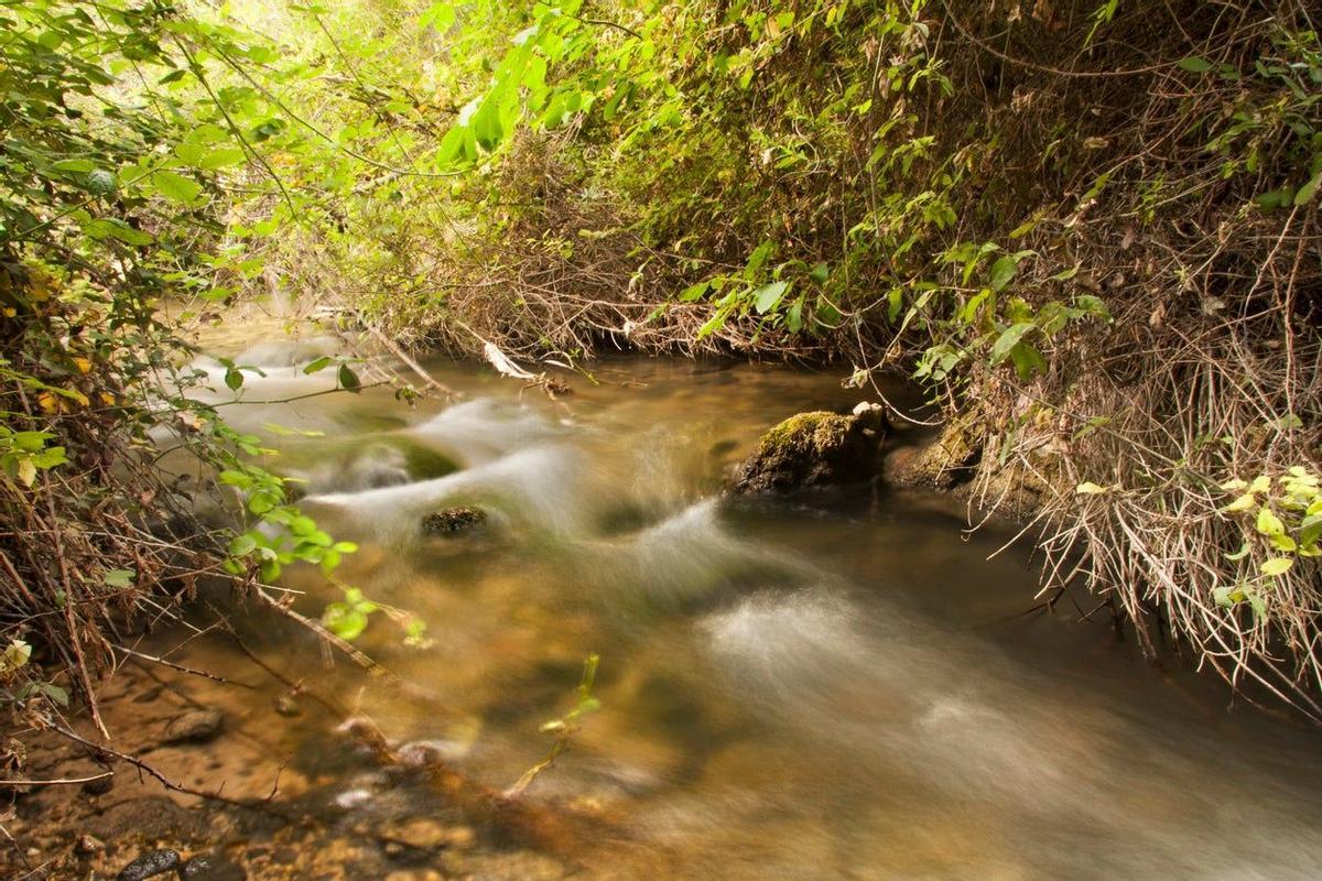 Nerpio, Albacete: arte rupestre, cielo y naturaleza