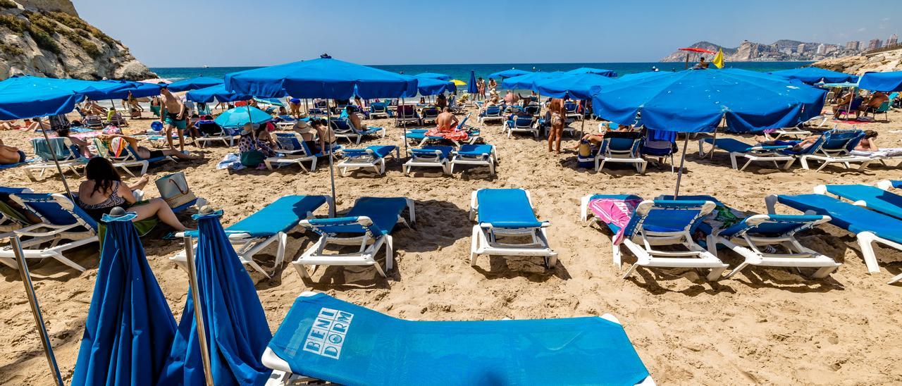 La pequeña playa del Mal Pas, donde las hamacas de alquiler apenas dejan espacio libre para el resto de usuarios.